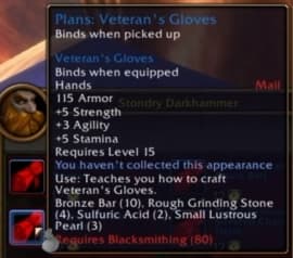 Veteran's Gloves: Essential mail accessories for seasoned combatants.